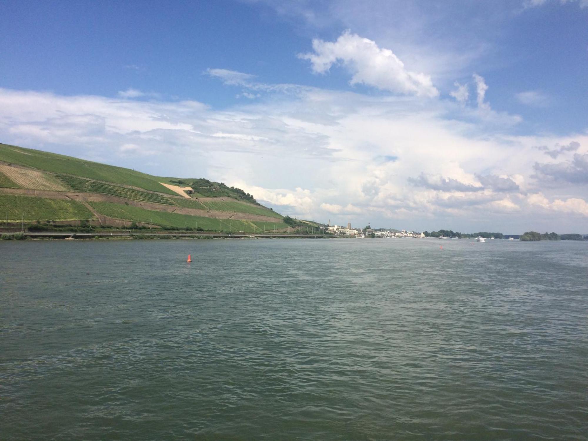 Haus Am Weinberg Διαμέρισμα Rüdesheim am Rhein Εξωτερικό φωτογραφία