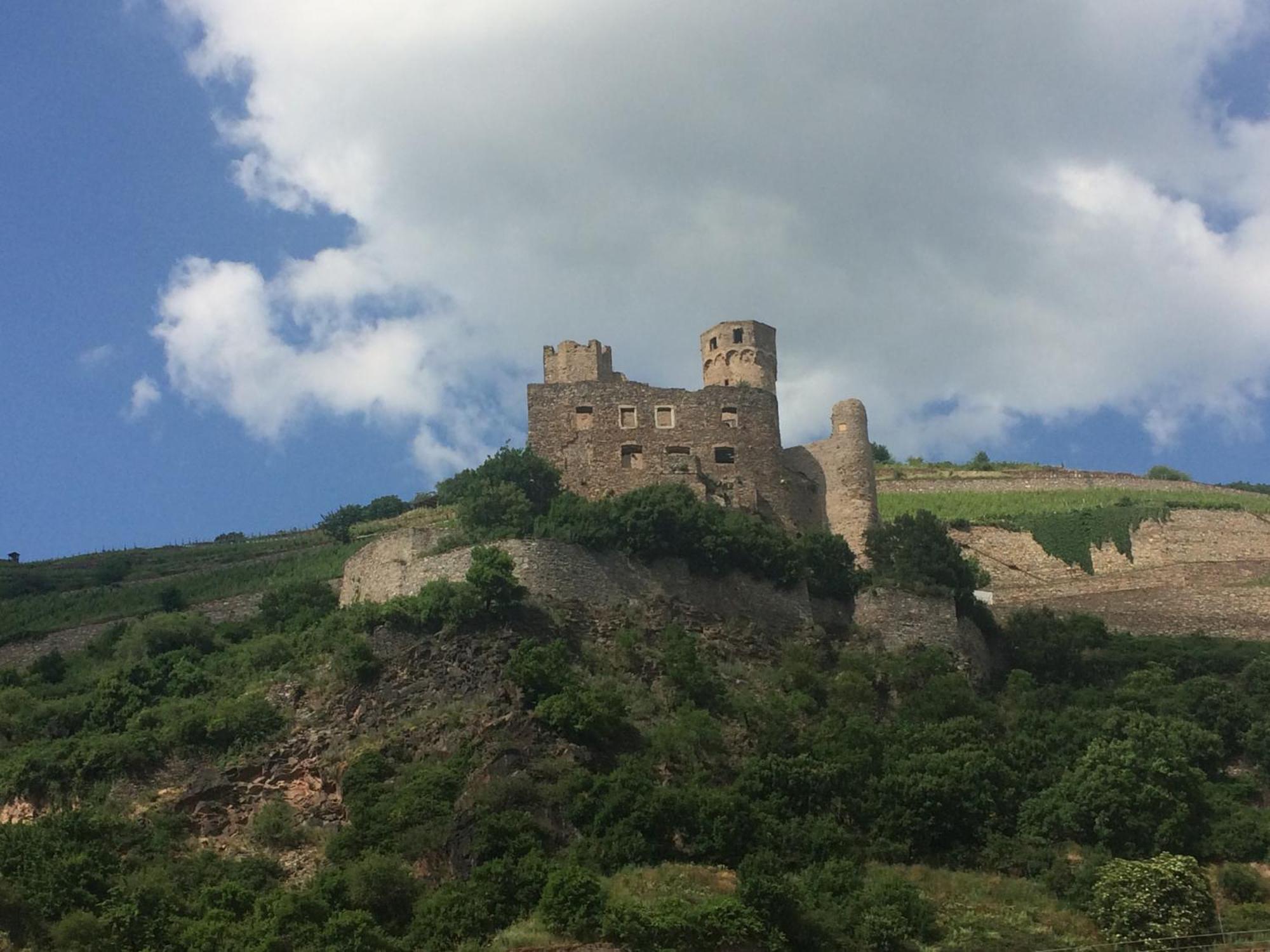 Haus Am Weinberg Διαμέρισμα Rüdesheim am Rhein Εξωτερικό φωτογραφία